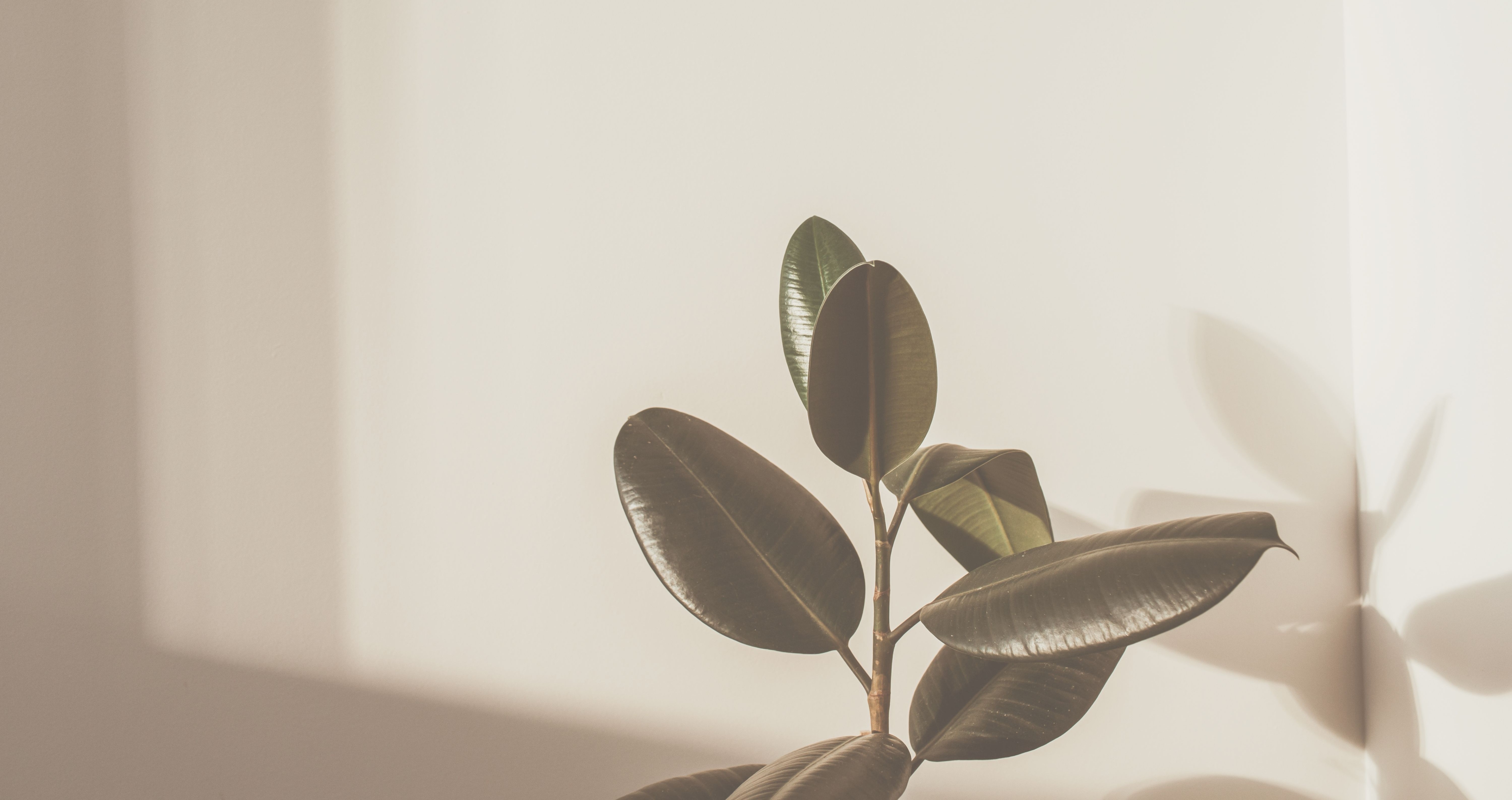 Marie M la Com’ – Qui suis-je ? Découvrez mon parcours et mon expertise en communication digitale